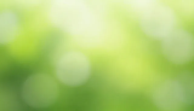 小程序开发中技术选型对推广效果的影响